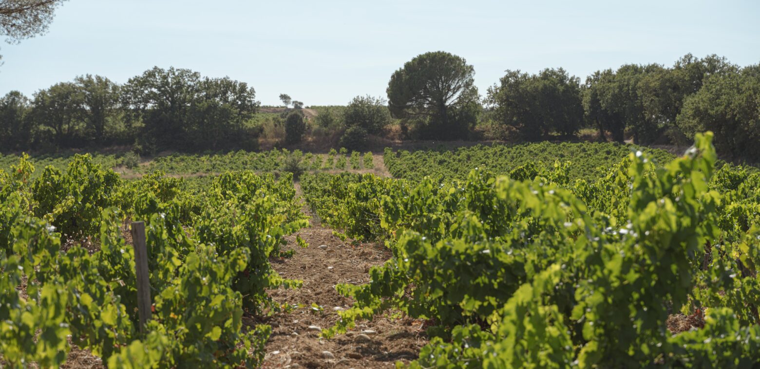 Domaine Cristia